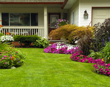 The front yard of a home features several flowerbeds with various flowers and other plants