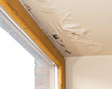 The ceiling of a room with white walls is bubbled and distorted from water damage.