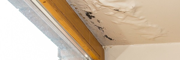 The ceiling of a room with white walls is bubbled and distorted from water damage.