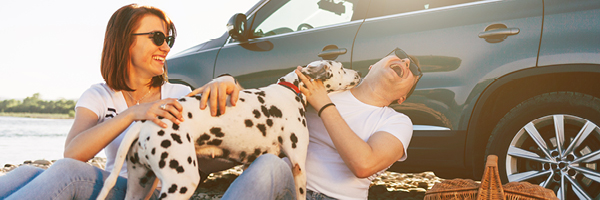man, woman, and dog sitting by car on a beach